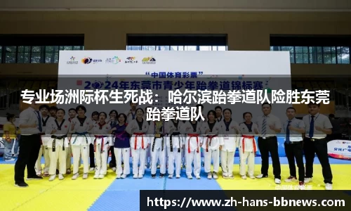 专业场洲际杯生死战:哈尔滨跆拳道队险胜东莞跆拳道队
